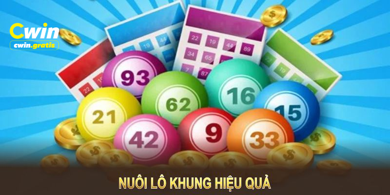 Nuôi lô khung hiệu quả cần tăng bước lựa chọn lô và khung thời gian.